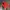 Vintage Casual Pria red photo 1