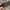 Japanese Jambangee Leather Belt photo 3