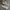 Vans UltraRange Pro Skateboard White Beige ( Size 44,5 ) photo 4