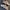 Nike Sportswear Casual Sneakers Pria white tan photo 3