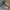 Converse Streetwear Casual Sneakers Wanita multicolor photo 1