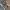 Converse Streetwear Casual Sneakers Wanita multicolor photo 3