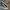 Converse Streetwear Casual Sneakers Wanita multicolor photo 2