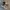 New Balance Streetwear Casual Sneakers Pria gray photo 1