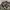 BROWNY Woodland Camouflage Flannel Shirt  photo 4