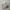 Converse Chuck Taylor 70s Hi Gore Tex White ( 38/39 ) photo 8
