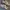 Stussy Streetwear Casual Sneakers Pria white gray photo 4