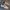 Stussy Streetwear Casual Sneakers Pria white gray photo 2