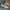Stussy Streetwear Casual Sneakers Pria white gray photo 1