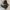Timberland Streetwear Casual Boots Wanita black photo 4