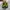 Puma Streetwear Sneakers Wanita green photo 4
