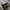 Avant Garde Boots Pria white black photo 1