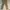 GAP Streetwear Kids khaki photo 3