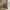 GAP Streetwear Kids khaki photo 2