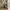 GAP Streetwear Kids Khaki