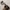 RayBan Wayfarer  photo 2