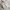 LOUIS VUITTON SNEAKERS SPORT SECOND ORG photo 4