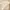 white cropped t-shirts loose fit photo 3