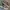 New Balance Streetwear Casual Sneakers Pria gray photo 3