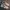 Adidas Sportswear Sneakers Pria white cream photo 1
