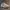 Adidas Sportswear Sneakers Pria white cream photo 5