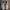 Adidas Sportswear Sneakers Pria white cream photo 4
