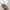 Adidas Luxury Hoody Pria white photo 4