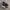 Nike Streetwear Casual Sneakers Pria white black photo 1