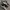 Nike Streetwear Casual Sneakers Pria white black photo 2