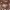 G-LYS Dark Brown Faux Leather Tote Bag