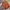 Tas/Rancel Brand Fjallraven Kanken Colour Orange photo 2