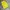 Jersey Brand Pro Specs Colour Yellow