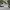 Air Jordan Tatum 1 PF "Home Team" photo 3