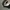 Topi Trucker Queenlekha Choppers-Unstoppable Original BNIB photo 3