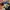 VINTAGE MOSCHINO MARE photo 3