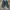 Colby sneakers embossed leather MK photo 5