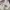 Celana pendek new era tech camo | new era tech camo short photo 3