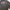 Dickies Luxury Hoody Pria gray photo 4