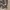 Oakley camo cargo short pants photo 2