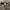 Oakley camo cargo short pants photo 4