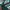 Adidas Indie Casual Sneakers Pria white green photo 2