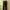 Lee Men's Black Loose Fit Corduroy Pants 30