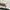Adidas Sportswear Sweatshirt Pria white photo 5