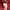 Carhartt Minimalist Casual Hoody Pria red photo 3