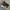 Nike Streetwear Casual Sneakers Pria brown black photo 1