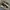 Nike Streetwear Casual Sneakers Pria brown black photo 2