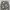 Celana Cargo Camo Flair Heirs