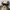 NEPA Sportswear Suit Pria tan black photo 6