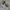 New Balance Streetwear Casual Sneakers Pria gray photo 1