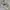 New Balance Streetwear Casual Sneakers Pria gray photo 3